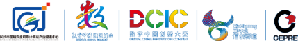 2025数字中国创新大赛创新赛道